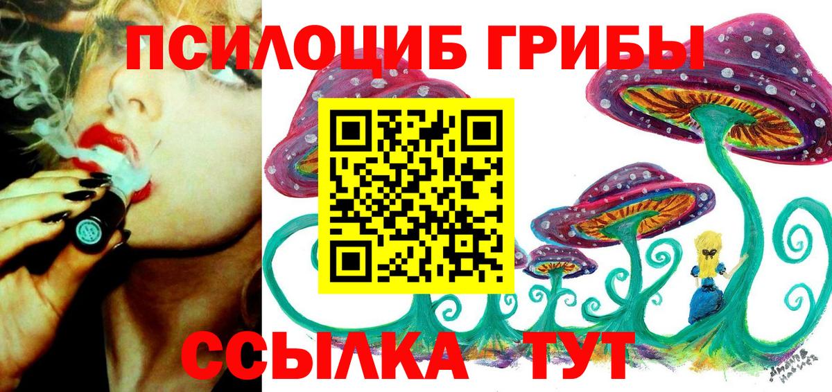 Людиново  Псилоцибиновые грибы Psilocybe  Вход с VPN 