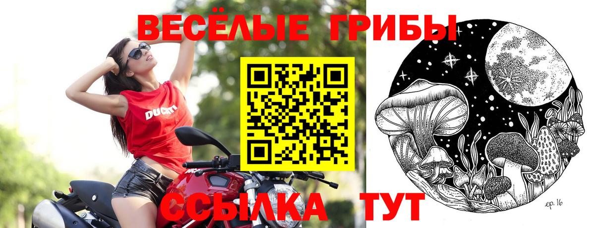 Псилоцибиновые грибы Magic Shrooms Людиново