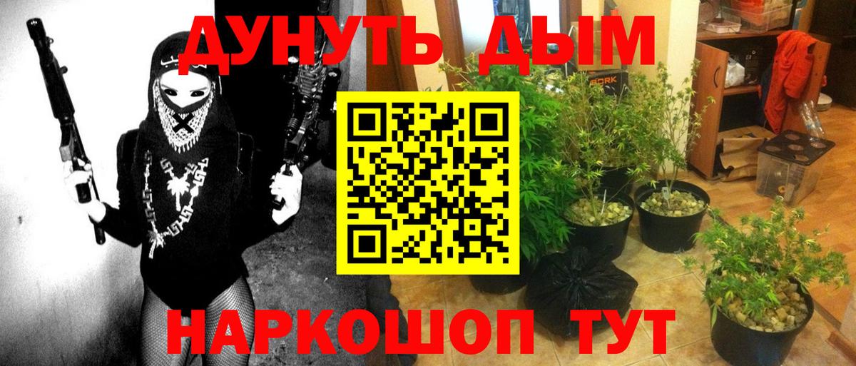 Конопля Bruce Banner Людиново
